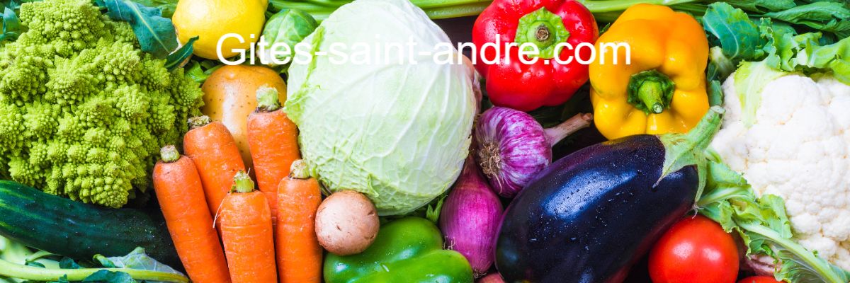 gites-saint-andre.com
